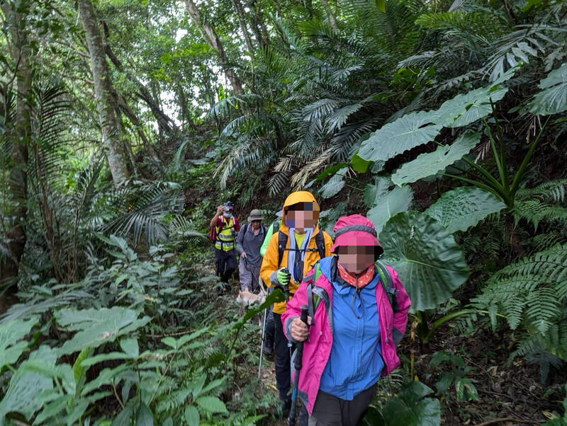 9人登山团至桃园市复兴区仙岛部落「双石纵走」,遭虎头蜂群攻击7人受伤,5人由搜救队送医。(桃园市消防局提供) 9人登山团至桃园市复兴区仙岛部落「双石纵走」,遭虎头蜂群攻击7人受伤,5人由搜救队送医。(桃园市消防局提供)